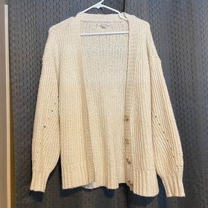 American Eagle Cardigan